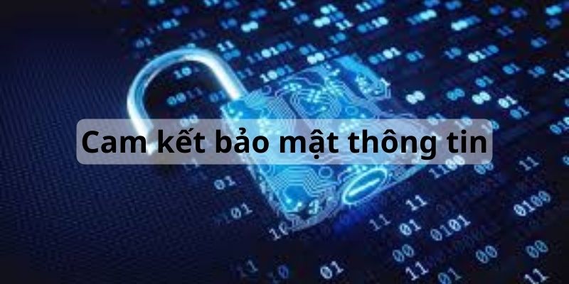 bảo mật thông tin cá cược bóng đá uy tín