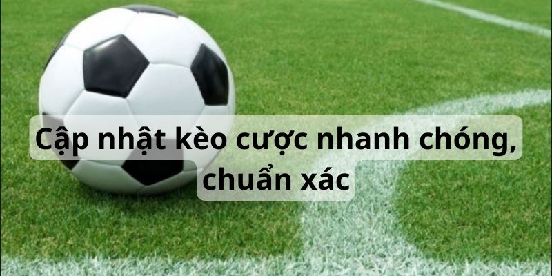 cá cược bóng đá uy tín