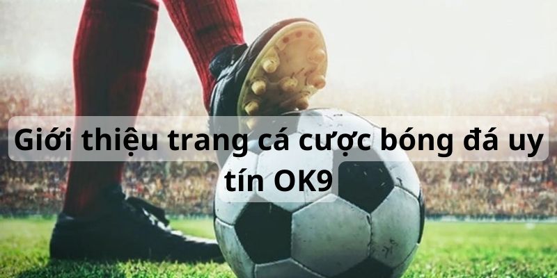 OK9 là trang cá cược bóng đá uy tín