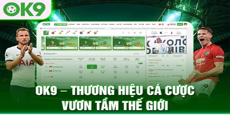 Giới thiệu OK9 các sản phẩm nổi bật