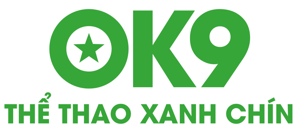 ok9116.com
